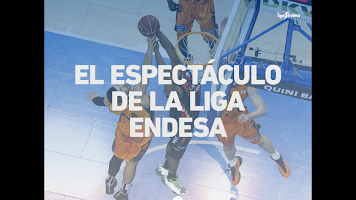 Guia Liga Endesa 2014-15 APK تصویر نماگرفت #7