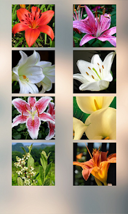 Free Lily Puzzle APK for Android