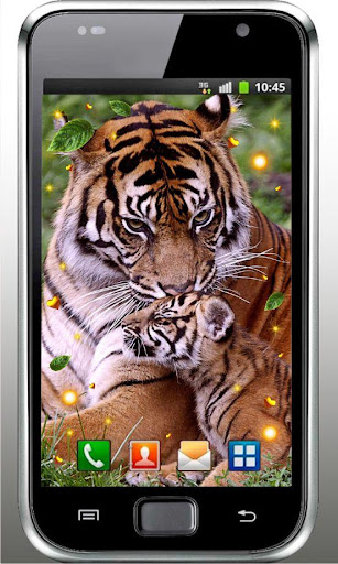 免費下載個人化APP|Tiger Love live wallpaper app開箱文|APP開箱王