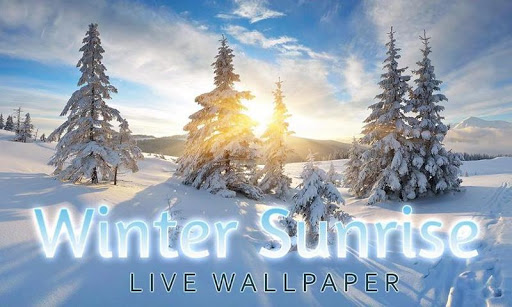 Winter Sunrise Live Wallpaper