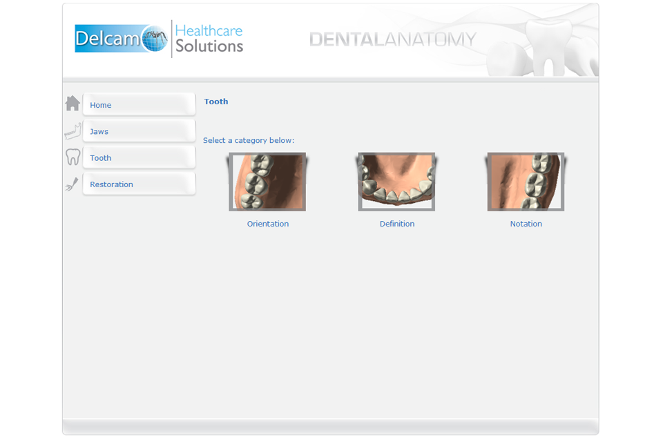    Dental Anatomy- screenshot  