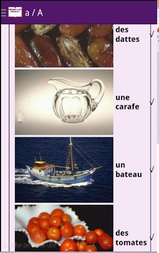French vocabulary exercises