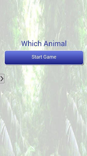 Which Animal