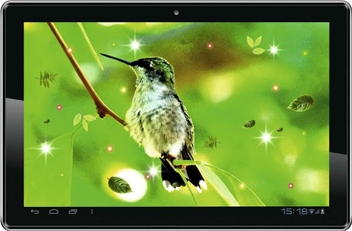 免費下載個人化APP|Humming Bird HQ live wallpaper app開箱文|APP開箱王