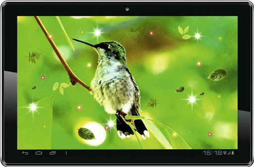 【免費個人化App】Humming Bird HQ live wallpaper-APP點子