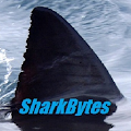 Shark Bytes/ no ads Apk