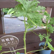 薰衣草森林(新竹尖石店)