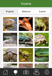 Lastest Reptile Snap APK for Android