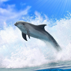 Dolphin supernova crack serial key