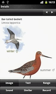How to install Birder lastet apk for pc