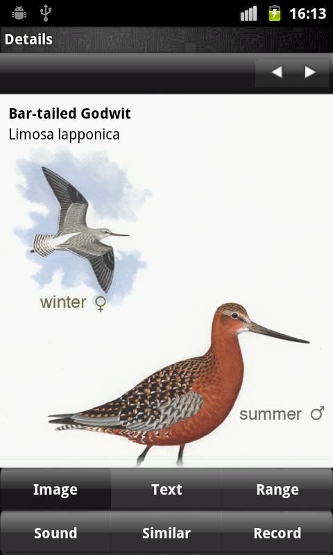 Birder Screen 3