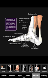 How to mod Muscle and Bone Anatomy 3D 1.1.0 mod apk for pc