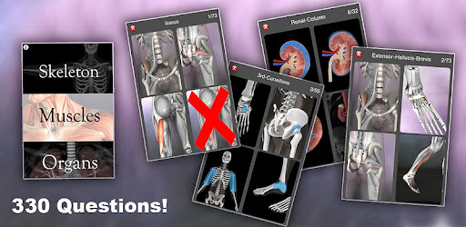 Anatomy Quiz Pro -  apk apps