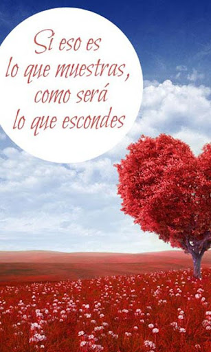 Imágenes con frases de amor