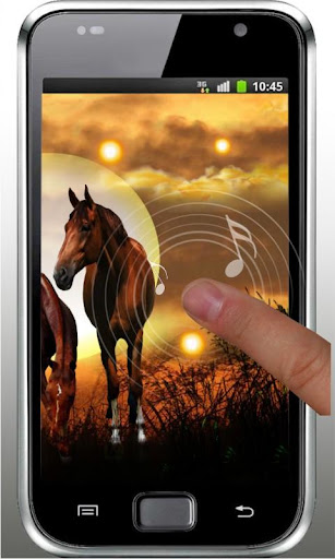 【免費個人化App】Wild Horses HD live wallpaper-APP點子