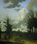 Plantage in Suriname. Dirk Valkenburg, 1707
