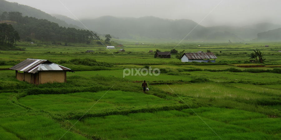 landscape by Anjali Borah - Uncategorized All Uncategorized