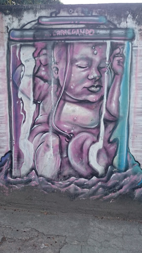 Grafite Feto in Vitro