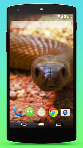 Snake Live Wallpaper