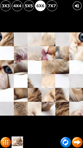 免費下載解謎APP|Tile Puzzle: Cute Kittens app開箱文|APP開箱王