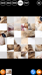 Tile Puzzle: Cute Kittens poster 8