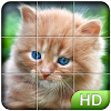 Tile Puzzle: Cute Kittens
