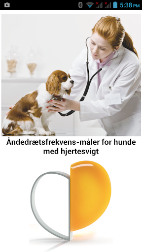 Hjertehund