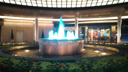 The New Sanno Hotel Fountain