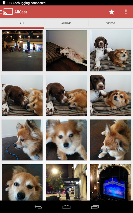 AllCast - screenshot