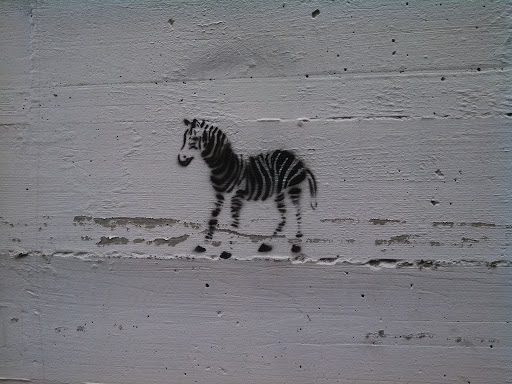 Zebra Graffiti 