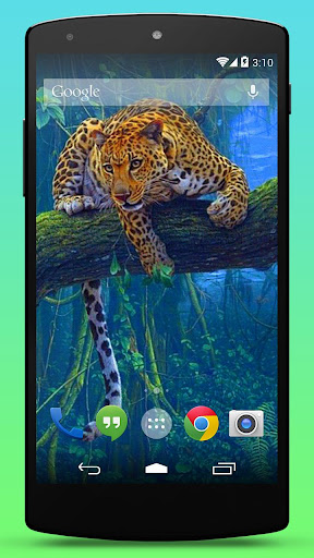 Leopard Live Wallpaper