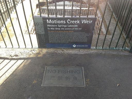Western  Springs Motion Creek  Weir 