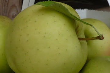 ohh la la chopped apple salad