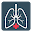 RT Quick Calc Download on Windows