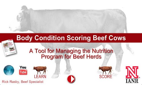 Android application Body Condition Score Beef Cows screenshort