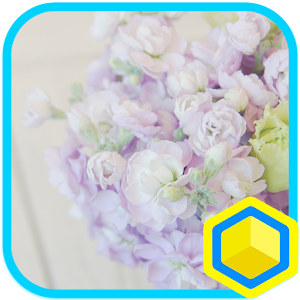 Love is : 카카오홈 테마.apk 1.0