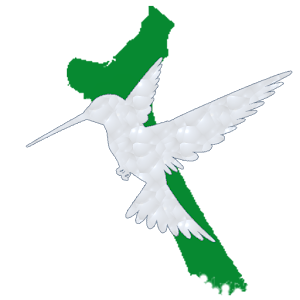 Birds of Cahuita National Park