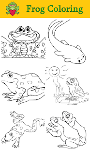 Frog Coloring For Kids