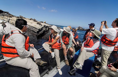 Approaching the Galápagos: Get up close and personal with wildlife on your Celebrity Xpedition cruise.