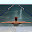 Breath training in swimming Download on Windows