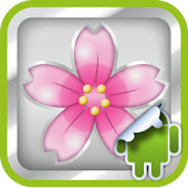 DVR:Bumper - サクラ