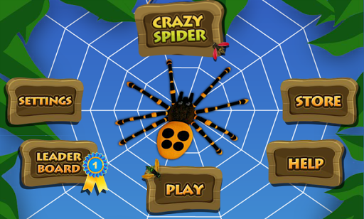 Crazy Spider