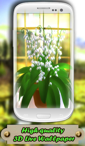 Lily of the valley