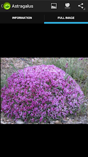 How to get Medicinal plants 1.7.0 apk for android