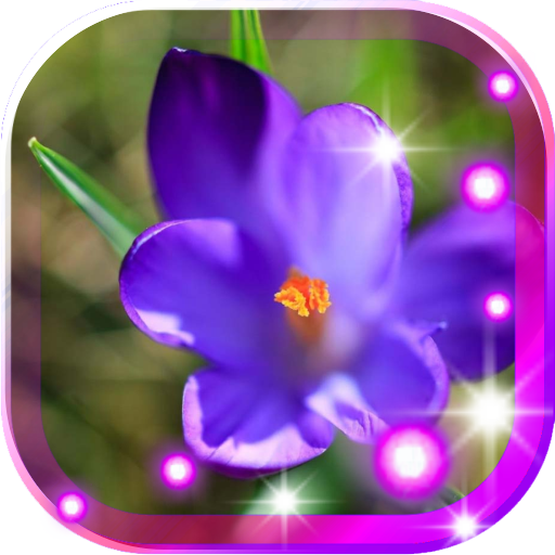 Snowdrops n Crocuses LOGO-APP點子