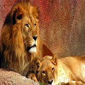 3D lion 007 logo