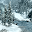 Winter Forest Livewallpaper Download on Windows