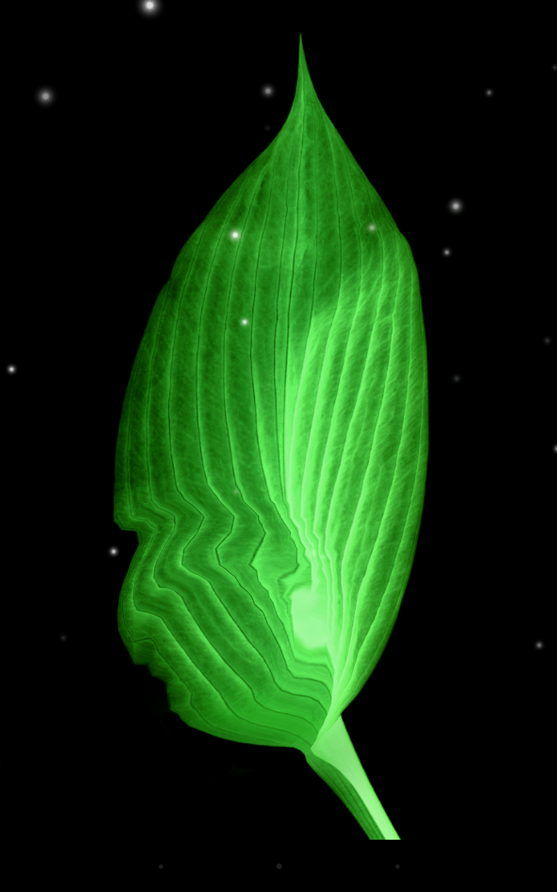 Galaxy Flowers Live Wallpaper Screen 3