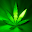 Marijuana Live Wallpaper - Green Leaf FREE Download on Windows