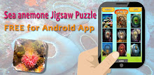 Sea anemone Jigsaw Puzzles APK